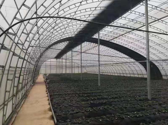 Double Film Frame Greenhouse